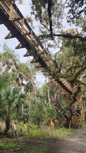 Myakka River State Park 🌿

One of our favorite states parks in Florida ✨️

📍Located in the southwest region of the state above Everglades National Park

Tons of things to do:
✔️ Bird watching/wildlife viewing
✔️ Fishing
✔️ Food truck
✔️ Gift shop
✔️ Camping
✔️ Hiking
✔️ Scenic drive
✔️ Biking
✔️ Drawstring bridge overlook

#vanlife #florida #travel #outdoors #adventure #travelvlog #wildlife #photography #stateparks #hiking #camping #roadtrip