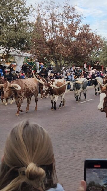 The Unique town of Fort Worth, Texas 🐮 #travel #vanlife #texas #cattledrive