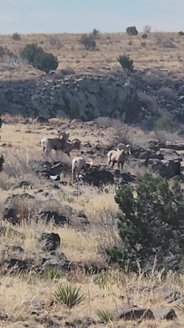 Wild hike to the highest point in Oklahoma #vanlife #travel #adventure #highpoint #hike