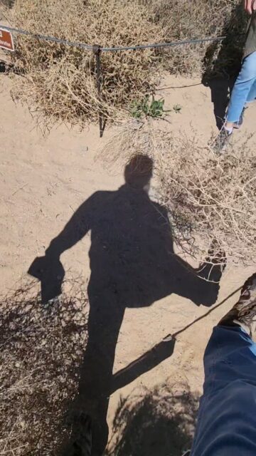 How to survive a tumbleweed attack...