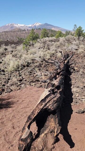 Walking on LAVA at a volcano in Arizona #travel #vanlife