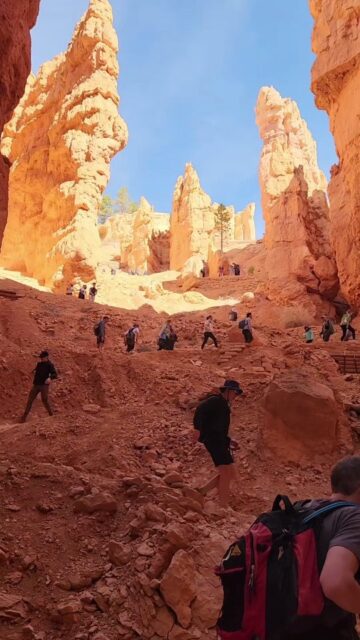 Going down into Bryce Canyon National Park #travel #vanlife #utah