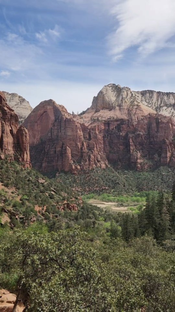 The beauty of Zion National Park #vanlife #travel #utah