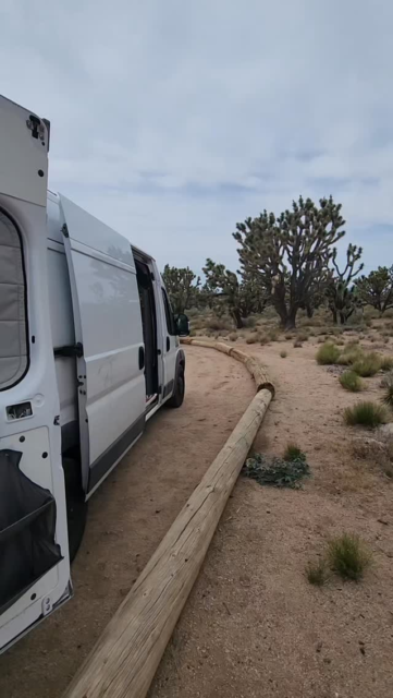 Maybe I'll go to the desert, find myself in the Joshua Trees #travel #vanlife #walkthrough