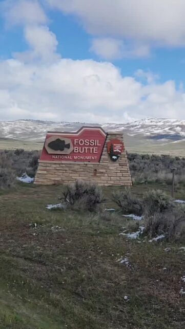 Over 2,000 Fossils in the Fossil Butte National Monument Visitor Center #travel #vanlife #wyoming