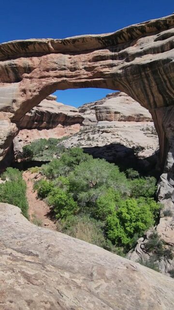 The natural beauty of the Natural Bridges #vanlife #travel #utah