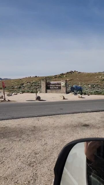 The Bison of the Great Salt Lake #travel #vanlife #utah