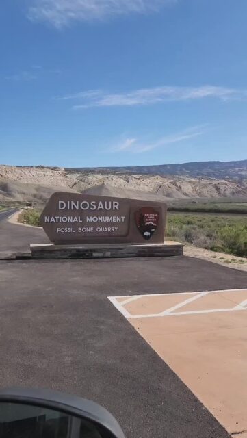 Touching Real Dinosaur Bones Still in the Ground! #travel #vanlife #fossil