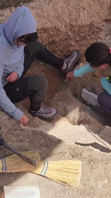 Digging up Dinosaur Bones in a Parking Lot!? #travel #vanlife #fossil