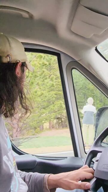 Spotting a Moose in Rocky Mountain National Park #vanlife #travel #colorado #wildlife